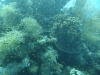 P1010886