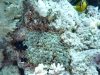 P1010891