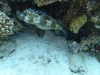P1010901