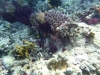 P1010914