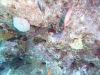 P1010940