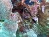 P1010941