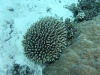 P1020002