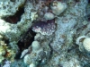 P1020003