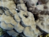 P1020029
