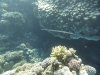 P1020040
