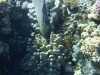 P1020048