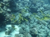 P1020099