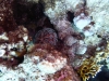 P1020114