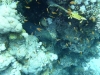 P1020118