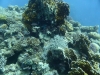 P1020129