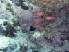 P1020155
