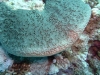 P1020231
