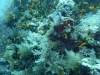 P1020238