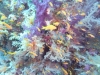 P1020248