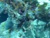 P1020255