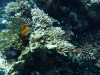P1020257