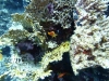 P1020258