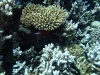 P1020267