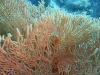 P1020306
