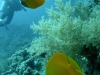 P1020319