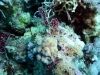 P1020320