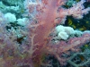 P1020328