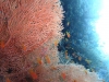 P1020337