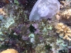 P1020449