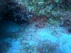 DCIM\100GOPRO\GOPR1445.JPG