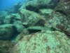 DCIM\100GOPRO\GOPR1443.JPG