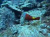 DCIM\100GOPRO\GOPR1436.JPG