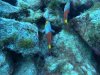 DCIM\100GOPRO\GOPR1435.JPG