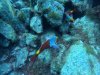 DCIM\100GOPRO\GOPR1434.JPG