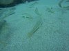 DCIM\100GOPRO\GOPR1433.JPG
