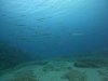 DCIM\100GOPRO\GOPR1428.JPG