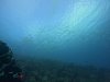 DCIM\100GOPRO\GOPR1427.JPG