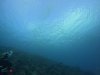 DCIM\100GOPRO\GOPR1426.JPG