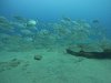 DCIM\100GOPRO\GOPR1425.JPG