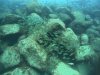DCIM\100GOPRO\GOPR1416.JPG