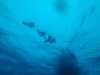IMG-20230917-WA0059
