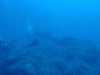 IMG-20230917-WA0071