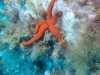 IMG-20230917-WA0086