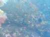 IMG-20230917-WA0095