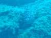 IMG-20230917-WA0112
