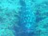 IMG-20230917-WA0113