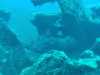 IMG-20230917-WA0114