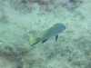 IMG-20230917-WA0124