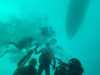 IMG-20230917-WA0126