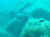 IMG-20230917-WA0140